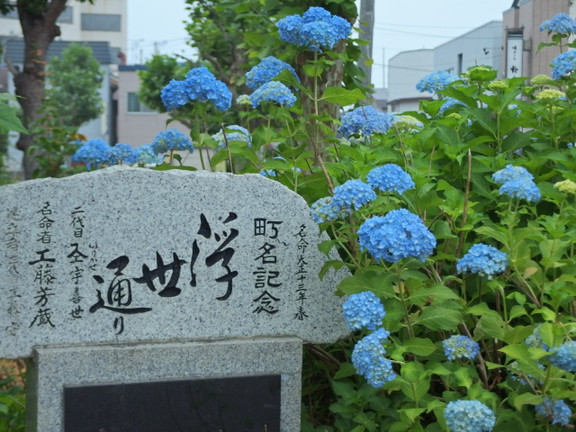 P7021785_s P7021785_s