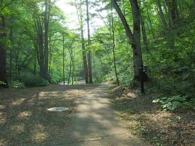 P7140183_s P7140183_s