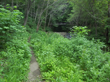 P7031943_s P7031943_s
