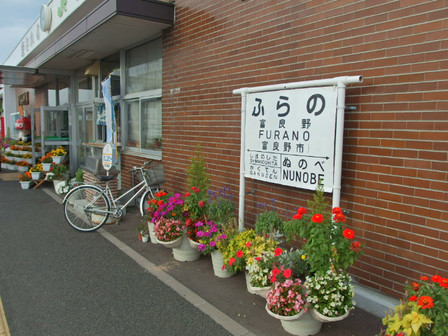 P9030502 P9030502