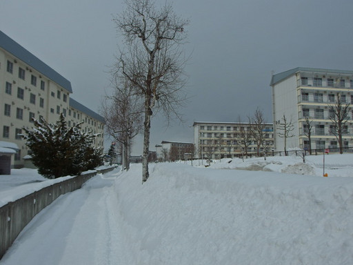P2190271 P2190271