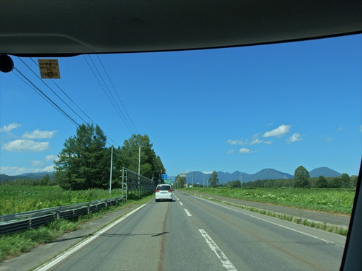 P8011287_s P8011287_s