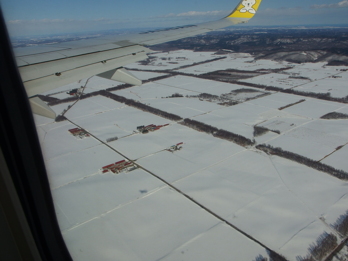 f:id:manok-rosen:20210306002145j:plain