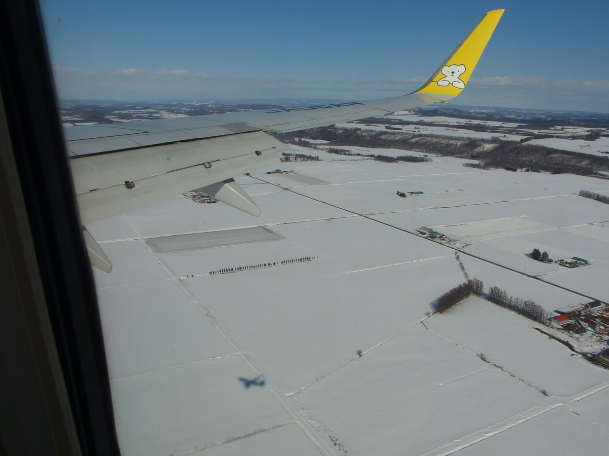 f:id:manok-rosen:20210306002255j:plain