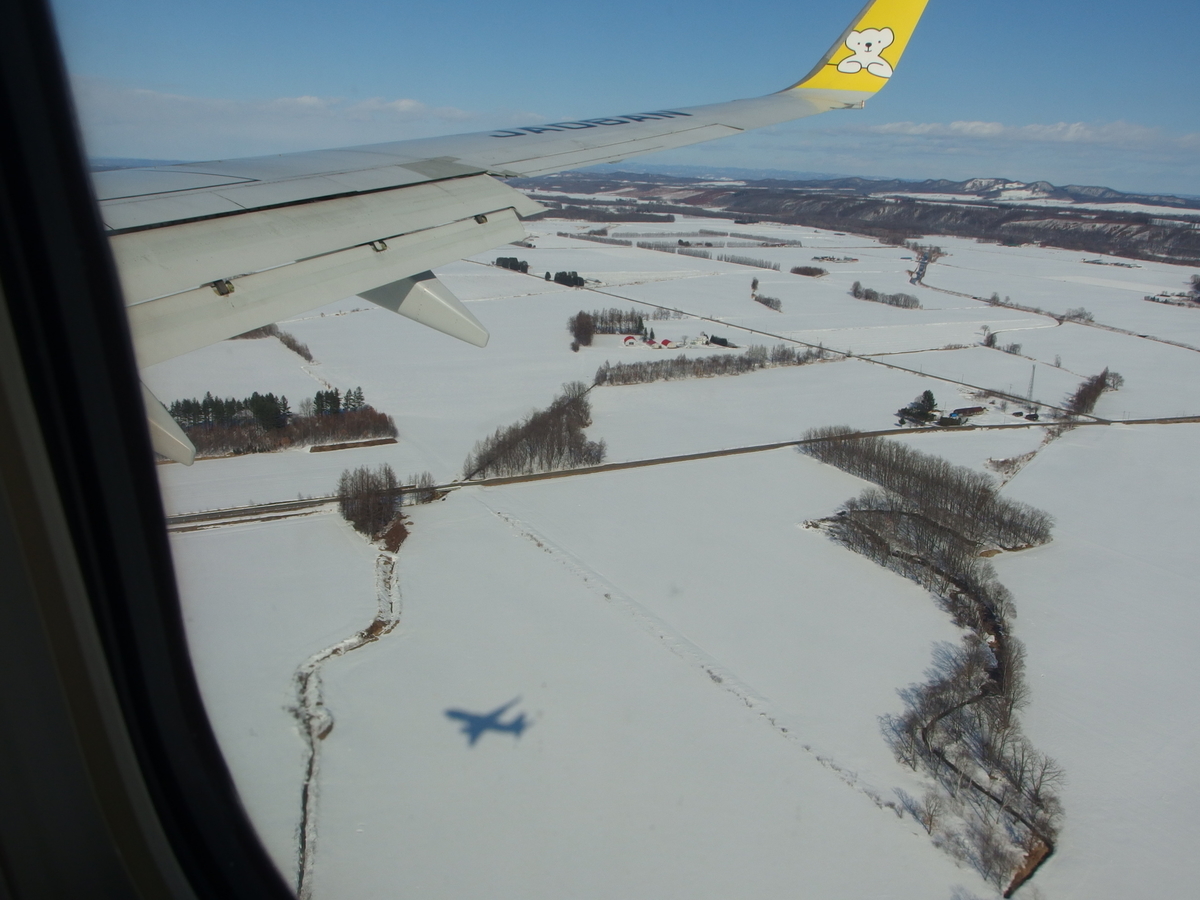 f:id:manok-rosen:20210306002355j:plain