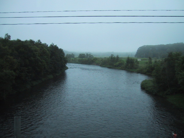 f:id:manok-rosen:20210519222054j:plain