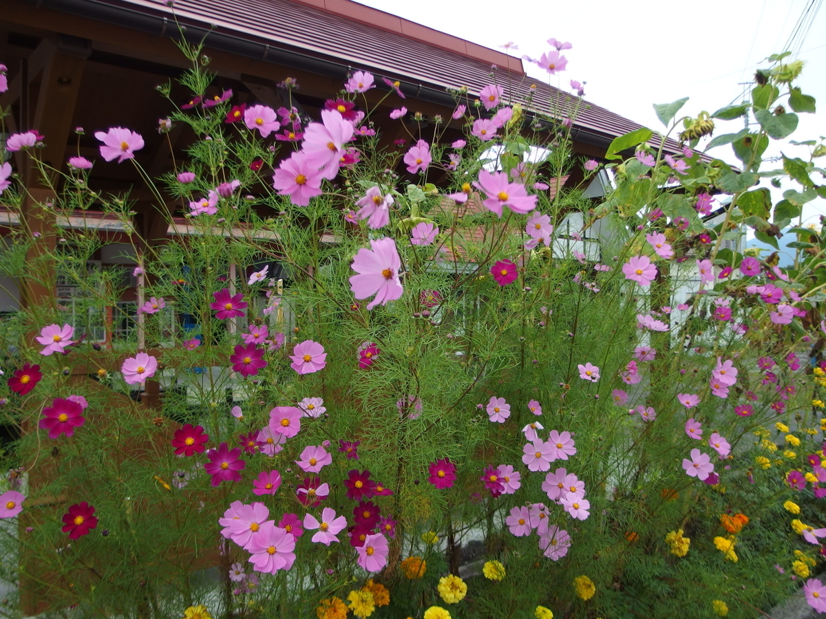 f:id:manok-rosen:20211006233038j:plain