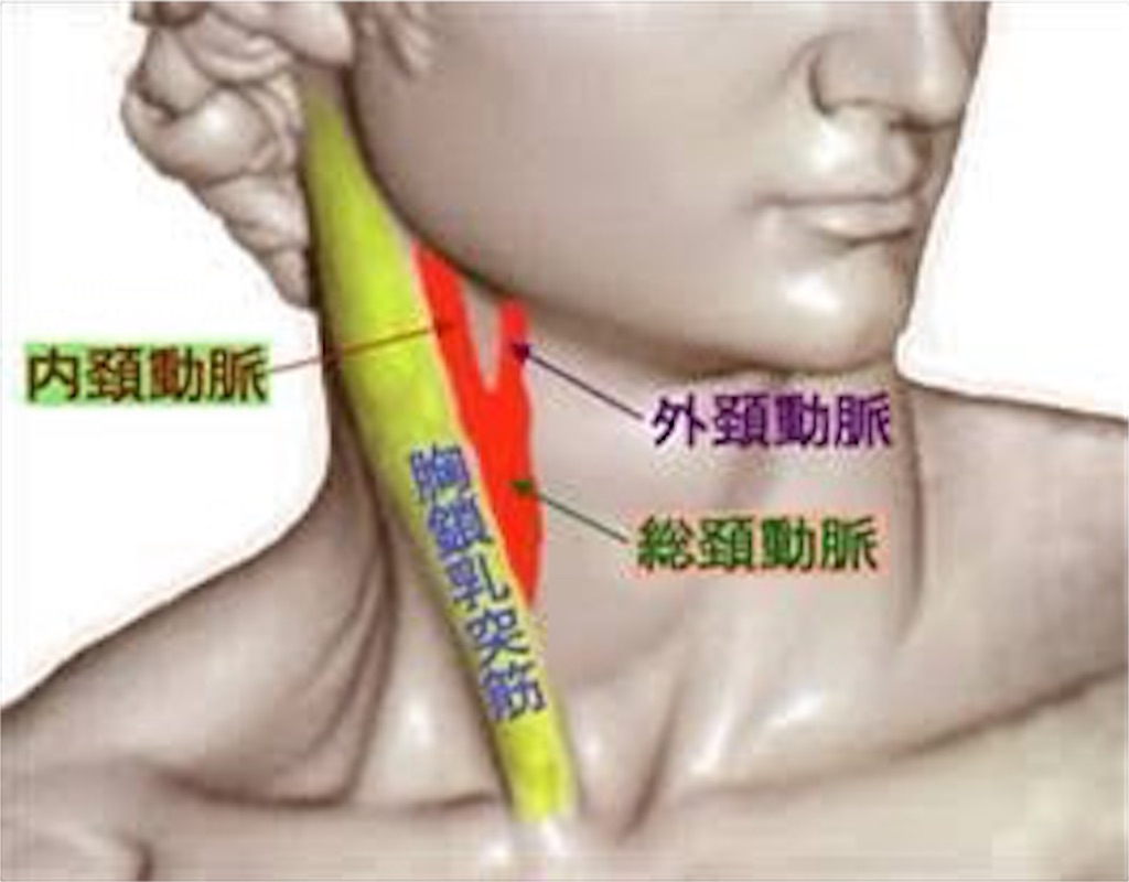 これで無敵 3秒で人を落とす方法 現役トップ選手が教える 黒帯必達 究極の柔道上達ブログ これで無敵 3秒で人を落とす方法 現役トップ選手が教える 黒帯必達 究極の柔道上達ブログ