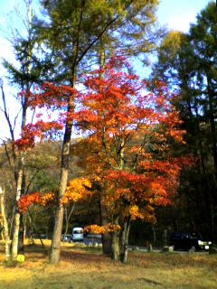 f:id:manpukuya:20061028153424j:plain
