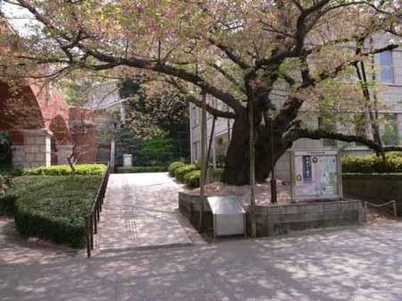 f:id:manrayist:20090412120905j:image