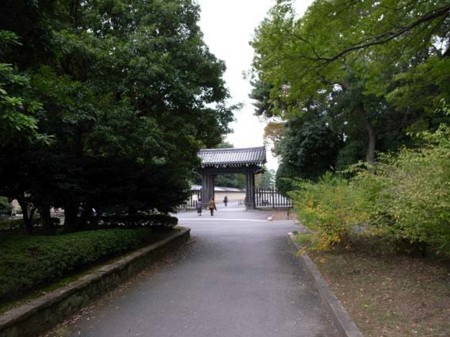 f:id:manrayist:20111103141703j:image