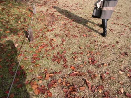 f:id:manrayist:20111112135857j:image