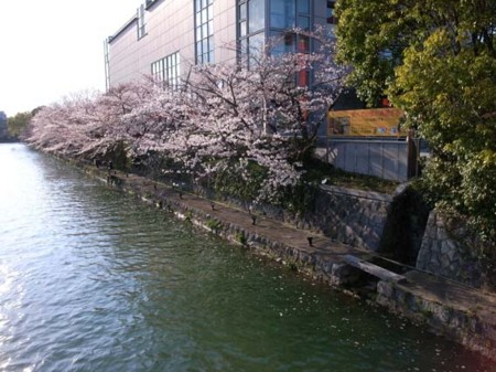 f:id:manrayist:20120407163134j:image