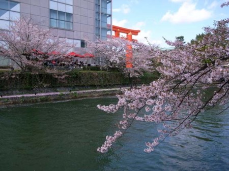 f:id:manrayist:20120414143151j:image