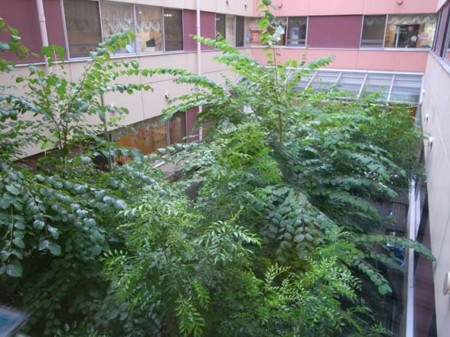 f:id:manrayist:20120721165759j:image
