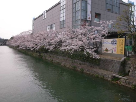 f:id:manrayist:20130330185012j:image f:id:manrayist:20130330185012j:image