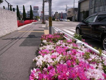 f:id:manrayist:20130421224708j:image