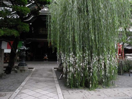 f:id:manrayist:20130724204221j:image