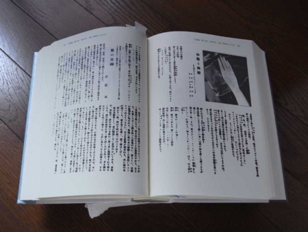 f:id:manrayist:20130804163842j:image