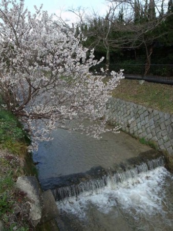 f:id:manrayist:20140321201150j:image