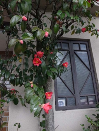 f:id:manrayist:20140321201152j:image