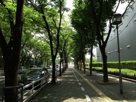 f:id:manrayist:20150710201737j:image