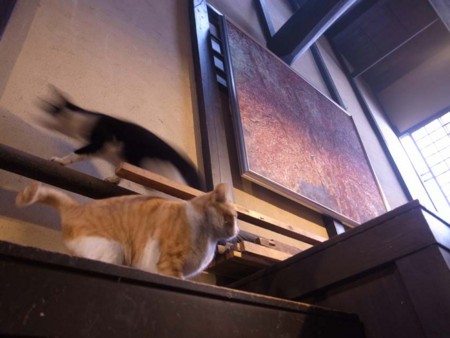 f:id:manrayist:20170221095426j:image