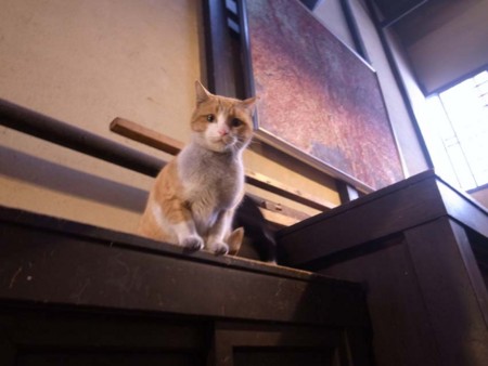 f:id:manrayist:20170221095427j:image