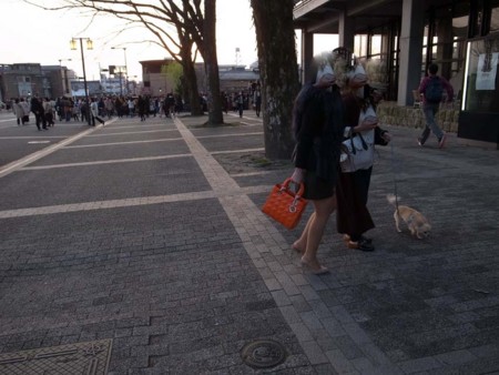 f:id:manrayist:20170331085318j:image