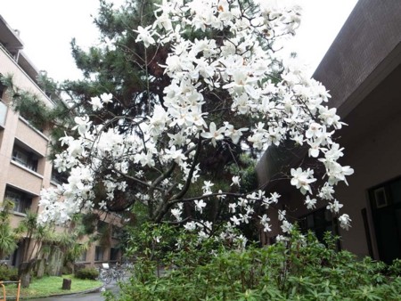 里見宗次展 at 工繊大・美術工芸資料館 - マン・レイと余白で