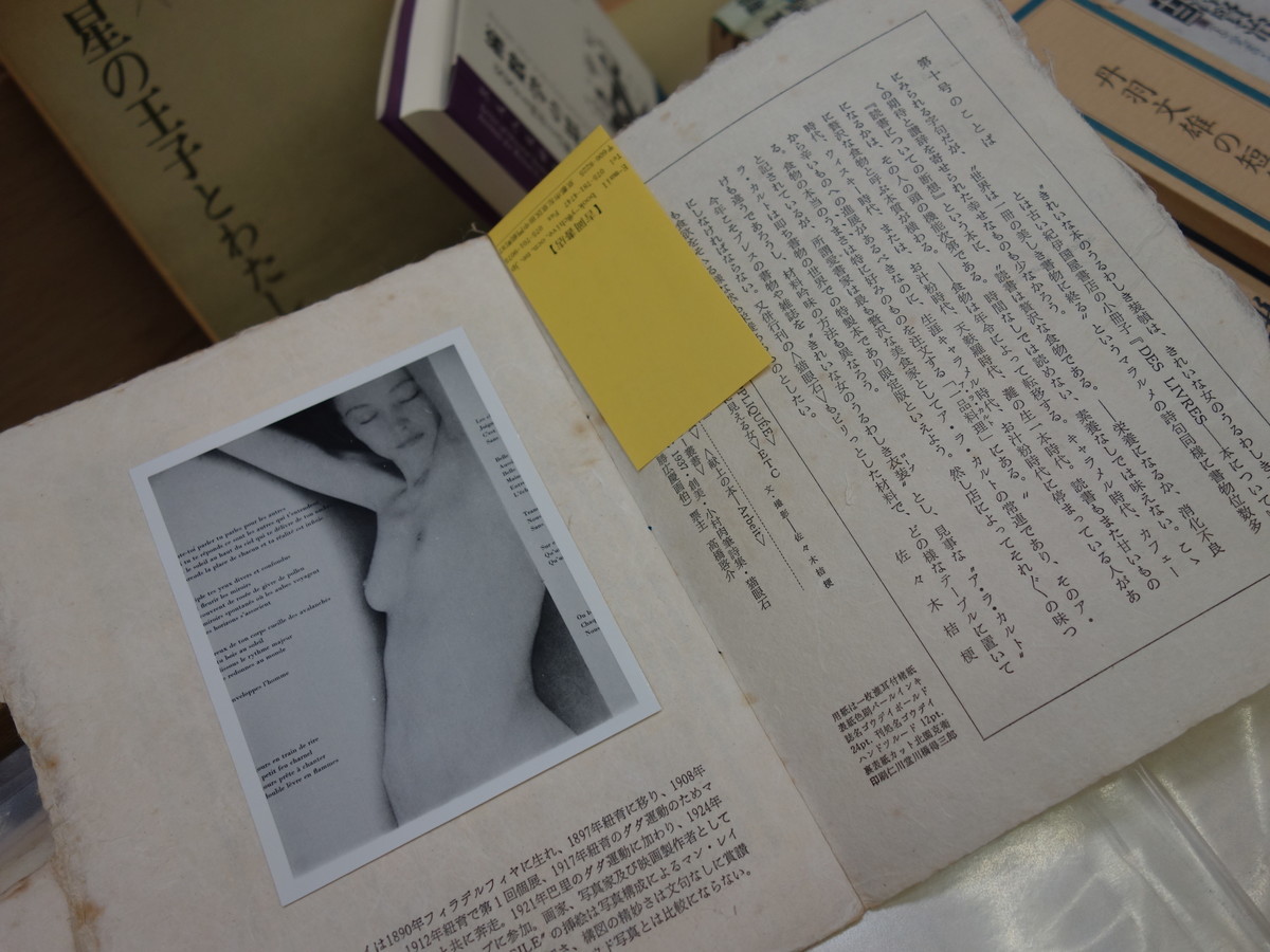 f:id:manrayist:20190501212338j:plain f:id:manrayist:20190501212338j:plain