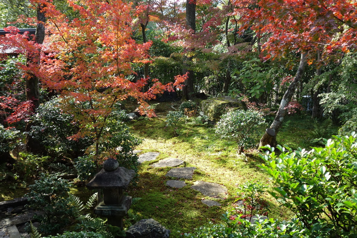 f:id:manrayist:20201118102744j:plain