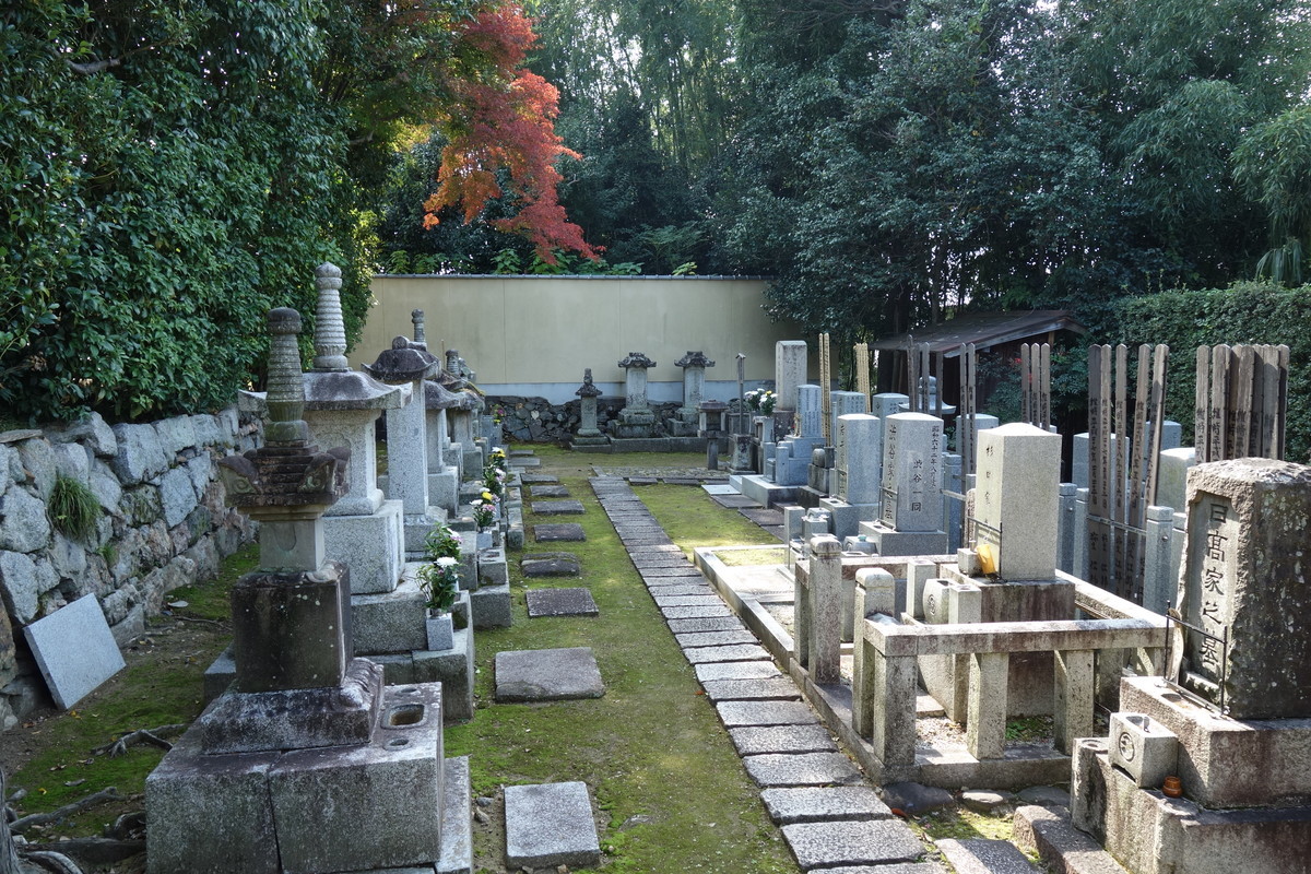f:id:manrayist:20201118102846j:plain