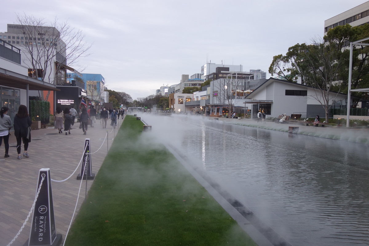 f:id:manrayist:20210321085211j:plain