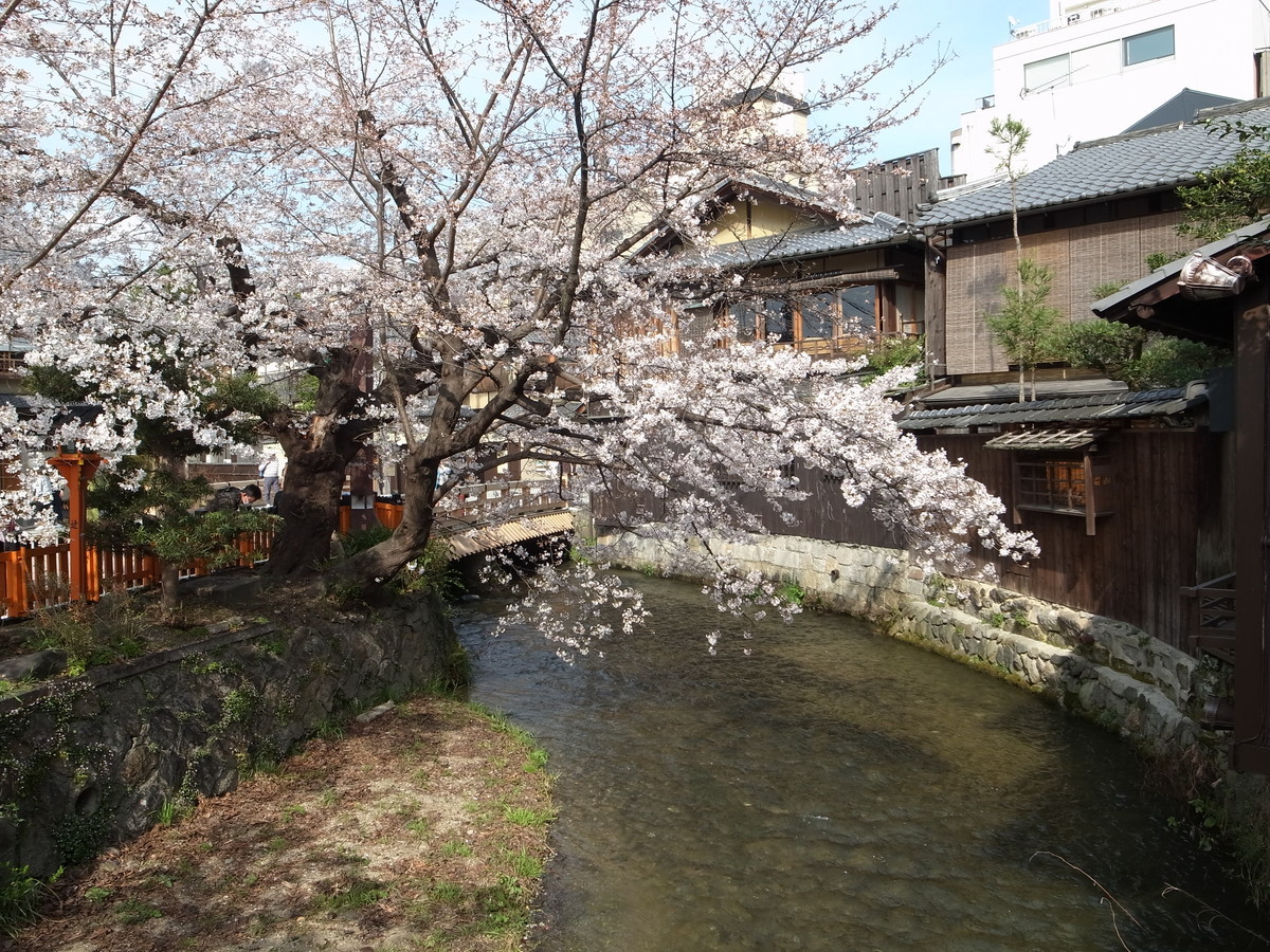 f:id:manrayist:20210330222219j:plain