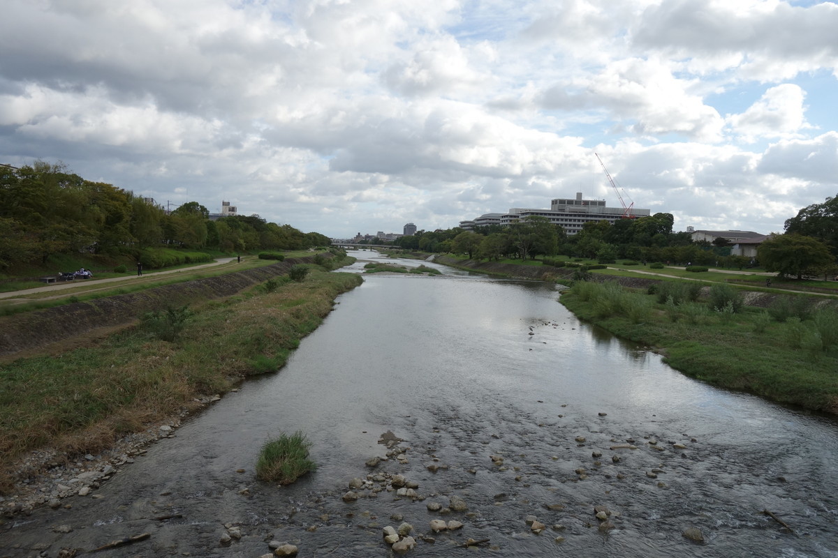 f:id:manrayist:20211001194729j:plain