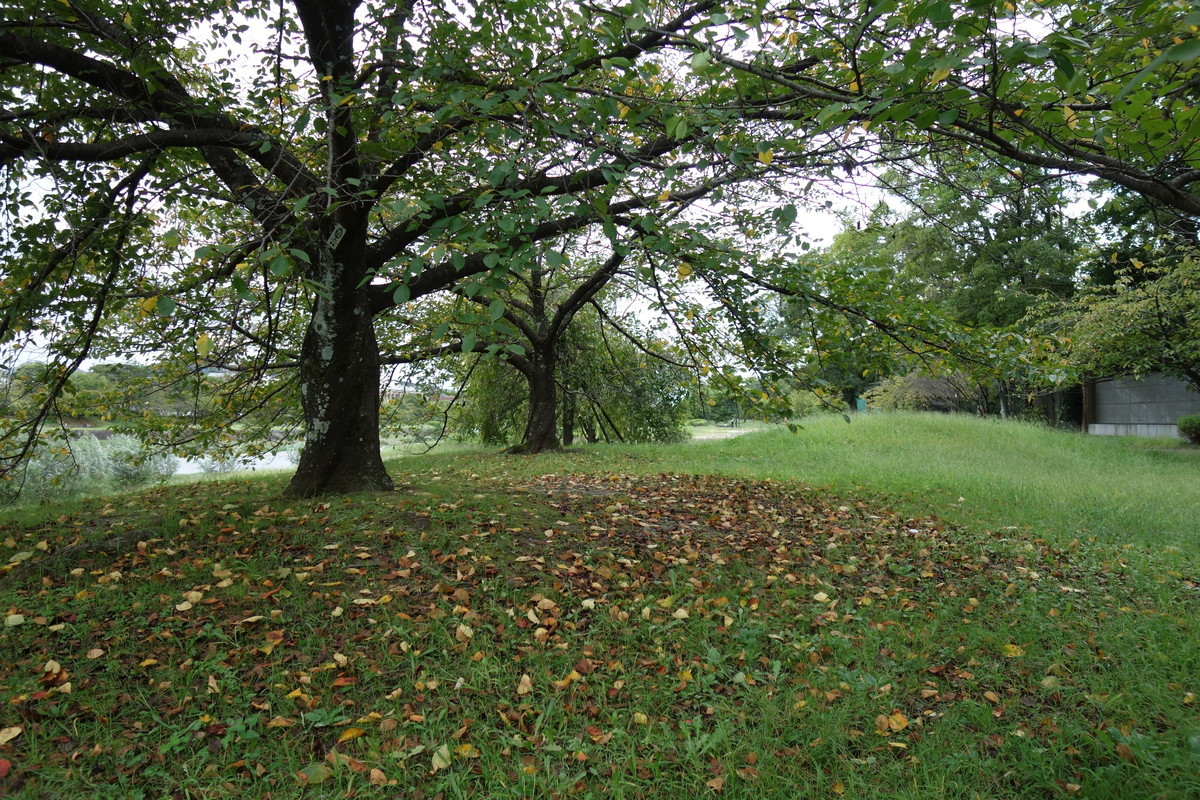 f:id:manrayist:20211001194748j:plain