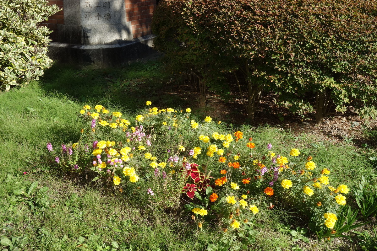 f:id:manrayist:20211103225345j:plain