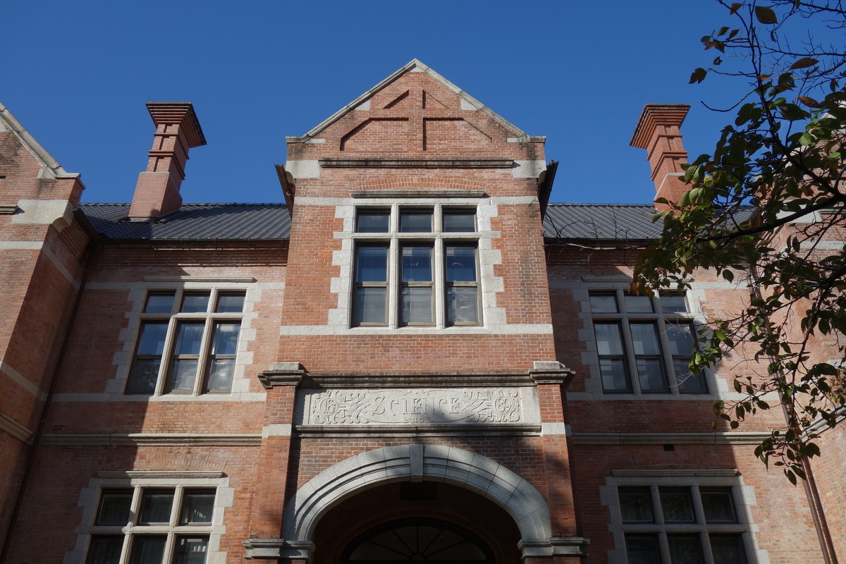 f:id:manrayist:20211103225446j:plain