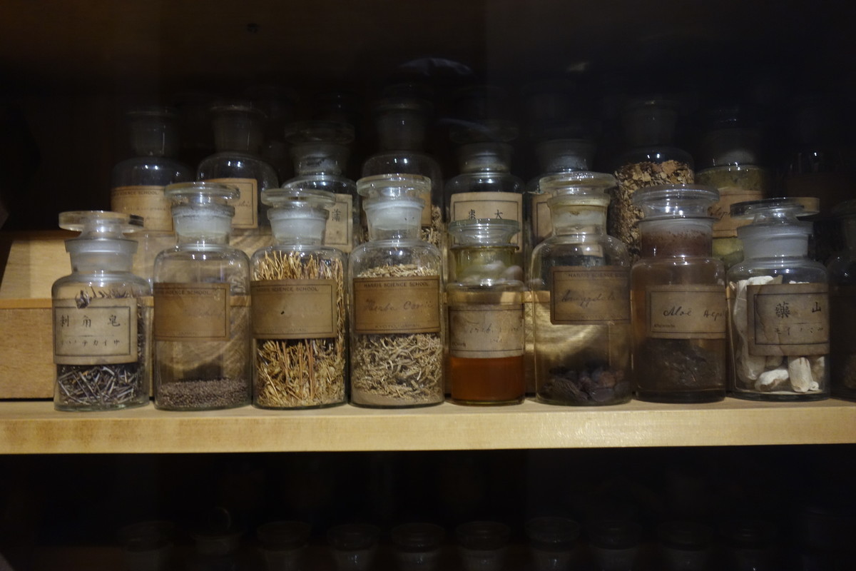 f:id:manrayist:20211103225508j:plain