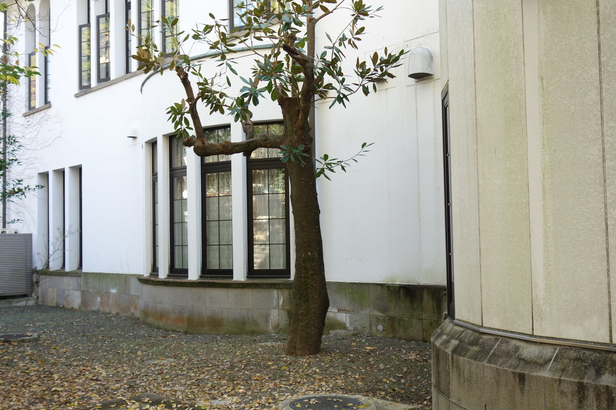 f:id:manrayist:20220121224439j:plain