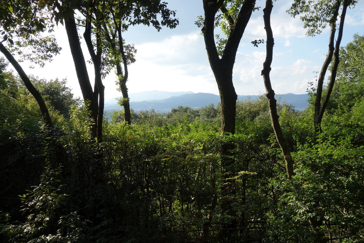 f:id:manrayist:20220207215309j:plain