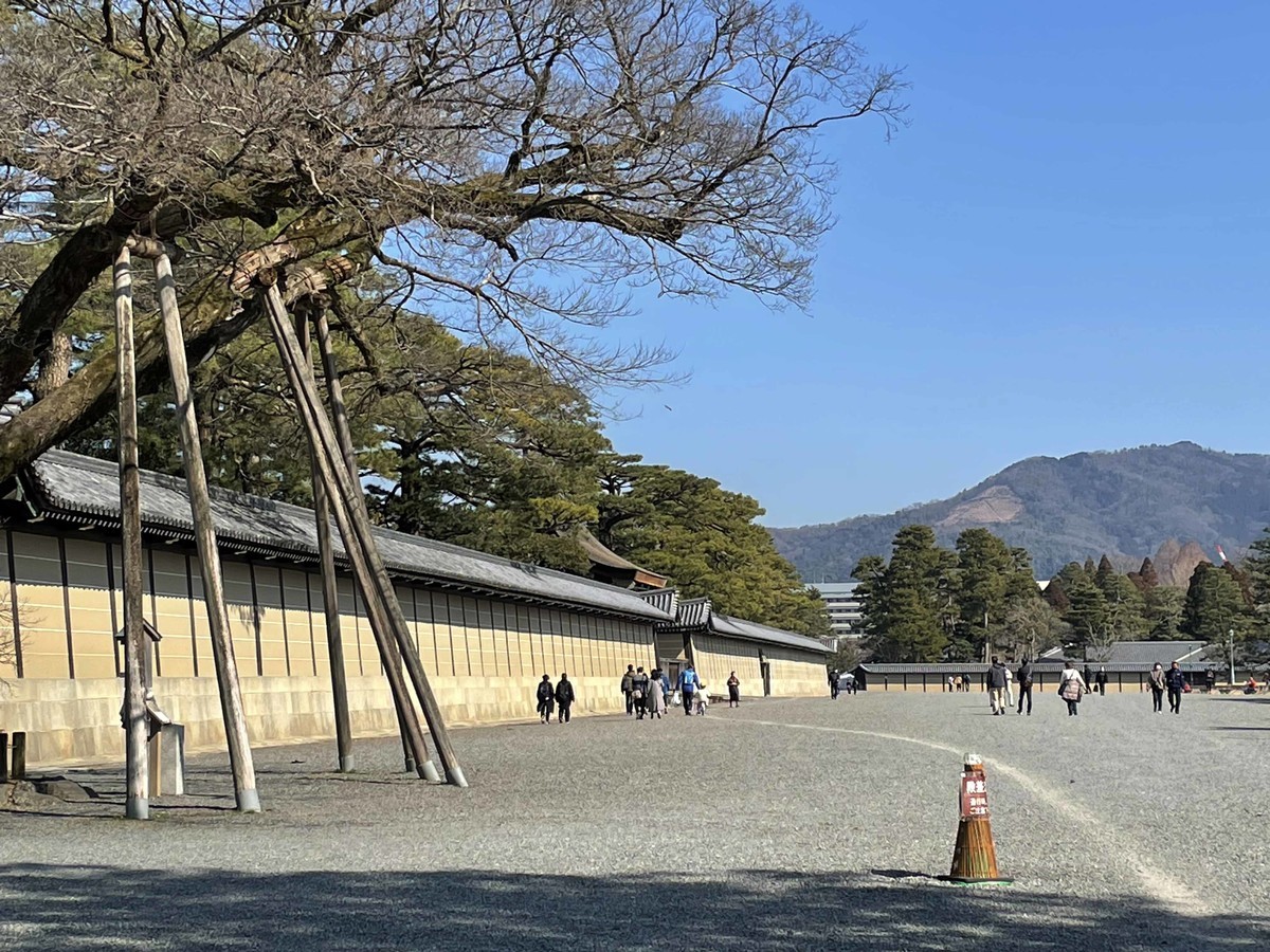 f:id:manrayist:20220227091922j:plain