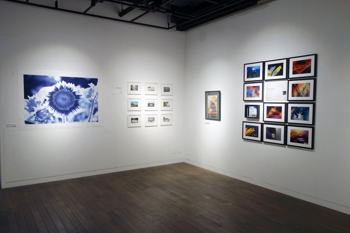 The 27th KYOTO / HOW are you PHOTOGRAPHY?』後期 at