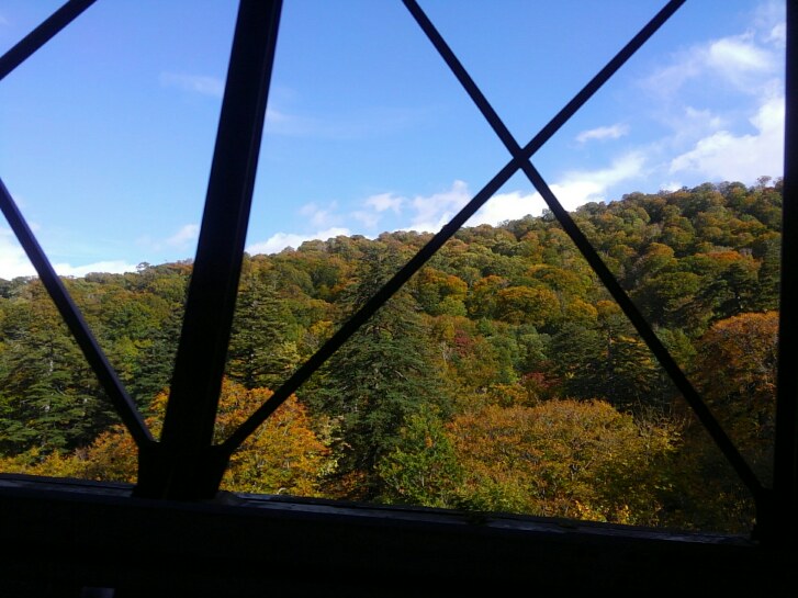 f:id:manrayn:20161012033300j:plain