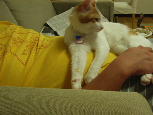 f:id:mansiz:20101009213730j:image