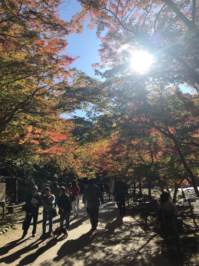 f:id:mansyuuya:20200809073241j:image