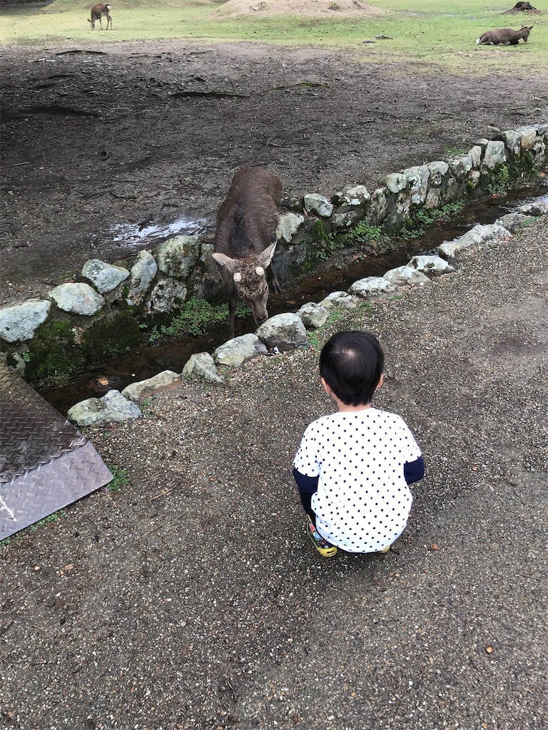 f:id:mansyuuya:20200809085002j:image f:id:mansyuuya:20200809085002j:image