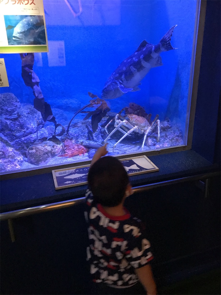 f:id:mansyuuya:20200811110215j:image f:id:mansyuuya:20200811110215j:image