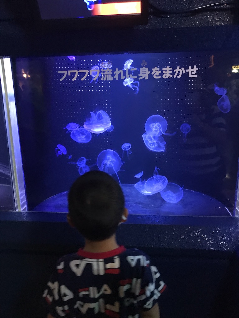 f:id:mansyuuya:20200811110218j:image f:id:mansyuuya:20200811110218j:image